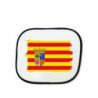 Parasol bandera de aragon españa comunidad autonoma personalizado coche