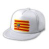 Gorra 5 paneles redecilla trasera bandera de aragon españa comunidad autonoma estilo rapero