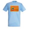 CAMISETA Azul Cielo bandera de aragon españa comunidad autonoma moda verano personalizada