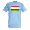 CAMISETA Azul Cielo bandera de la rioja españa comunidad autonoma moda verano personalizada