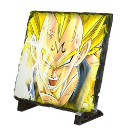 PLACA PIZARRA DBZ MAJIN...