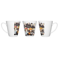 TAZA CÓNICA HAIKYUU TO THE...