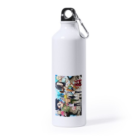 BIDON GRANDE 800 ML ACERO INOXIDABLE ANIME LOS 7 PECADOS CAPITALES MANGA SERIE deporte deportivo mosqueton botella