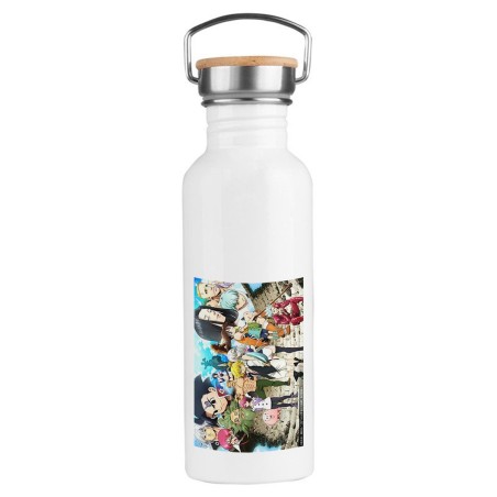 BIDON 750 ML ACERO INOXIDABLE ESTILO RETRO ANIME LOS 7 PECADOS CAPITALES MANGA SERIE deporte deportivo botella