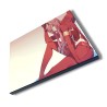 PANEL FOTOGRÁFICO DECORATIVO DARLING IN THE FRANXX ANIME cuadro acabado brillante elegante pared