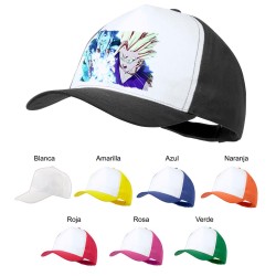 GORRA COLORES dragon ball z...