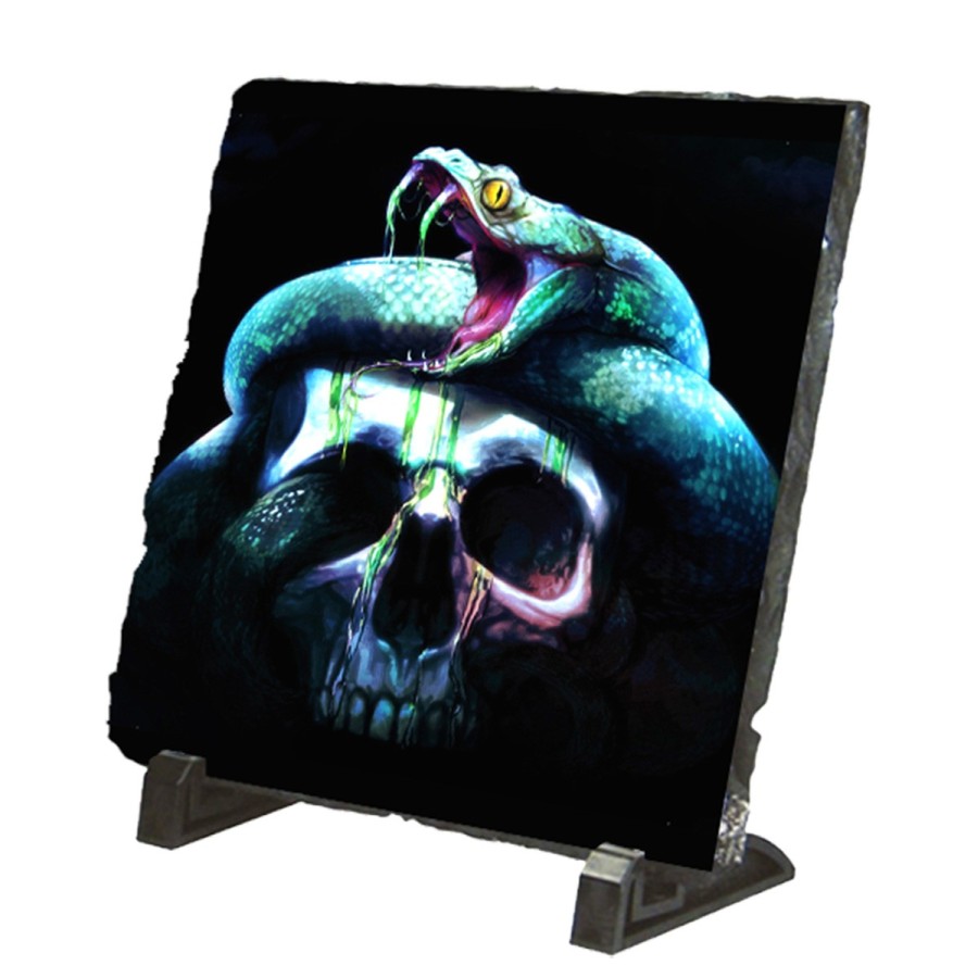 PLACA PIZARRA calavera serpiente  oscura gotico portafotos portafoto