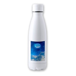 BIDON 700 ML ACERO...