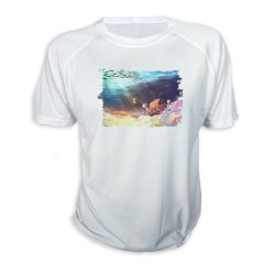 CAMISETA thousand sunny...