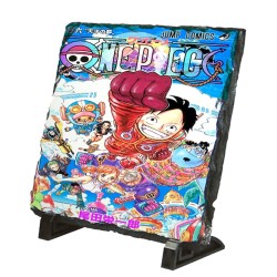 PLACA PIZARRA one piece...