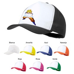 GORRA COLORES goku kame...