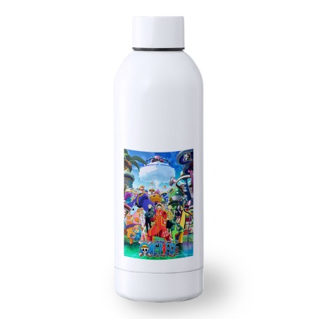 BIDON 500 ML ACERO INOXIDABLE one piece temporada saga isla egghead futurista deporte deportivo botella senderismo