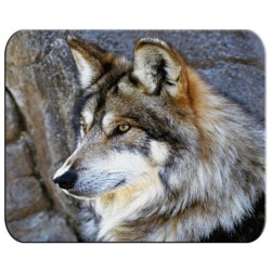 ALFOMBRILLA lobo gris animal salvaje feroz mascota bosque pc raton personalizada