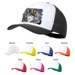 GORRA COLORES lobo gris...