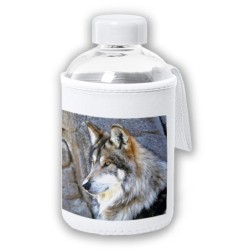 BIDON CRISTAL CON FUNDA...