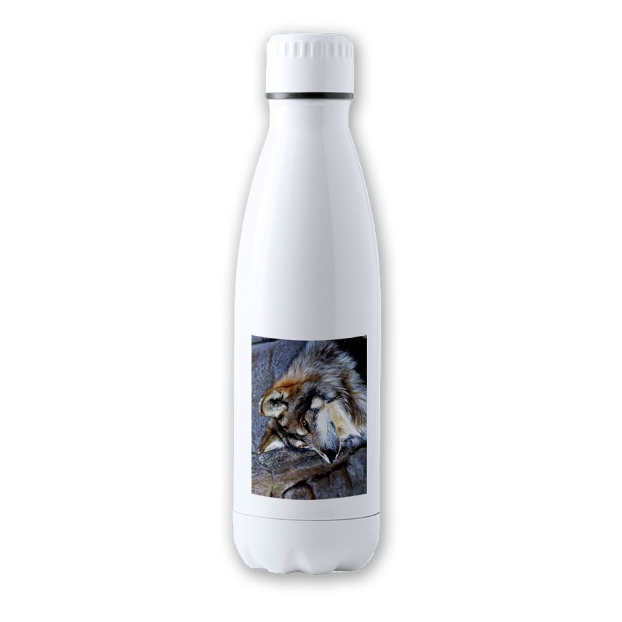 BIDON 700 ML ACERO INOXIDABLE lobo gris animal salvaje feroz mascota bosque tapon seguridad botella