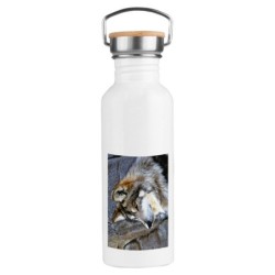 BIDON 750 ML ACERO...