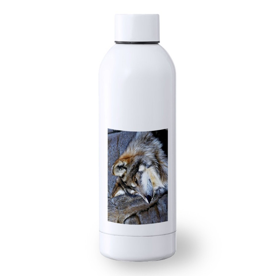 BIDON 500 ML ACERO INOXIDABLE lobo gris animal salvaje feroz mascota bosque deporte deportivo botella senderismo
