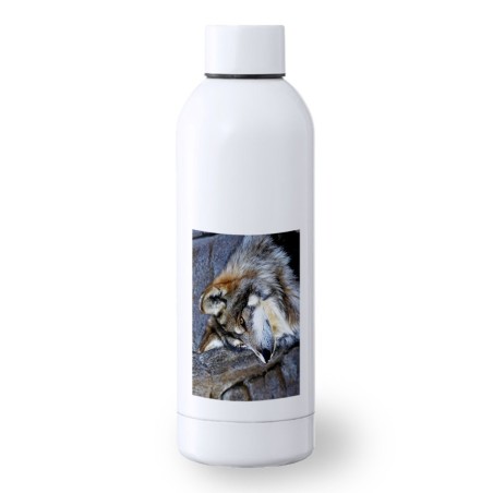 BIDON 500 ML ACERO INOXIDABLE lobo gris animal salvaje feroz mascota bosque deporte deportivo botella senderismo
