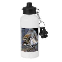 BIDON 600 ML ACERO...
