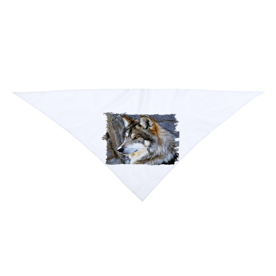 PAÑOLETA TRIANGULAR SUAVE lobo gris animal salvaje feroz mascota bosque moda cuello fiestas