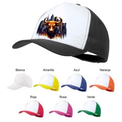 GORRA COLORES toro wall...