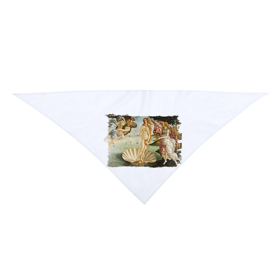 PAÑOLETA TRIANGULAR SUAVE cuadro el nacimiento de Venus Sandro Botticelli pintor moda cuello fiestas