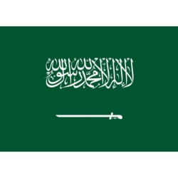 TAZA MÁGICA bandera arabia saudí pais gobierno arabe personalizada