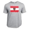 CAMISETA GRIS MEZCLA bandera austria pais gobierno escudo moda verano personalizada