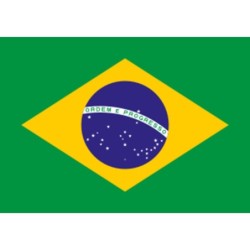 TAZA MÁGICA bandera brasil pais gobierno brasileño personalizada