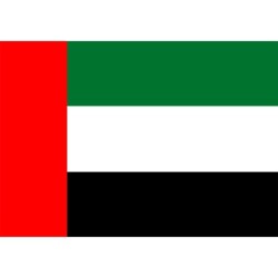 TAZA MÁGICA bandera emiratos arabes unidos pais oriente personalizada