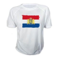 CAMISETA bandera holanda...