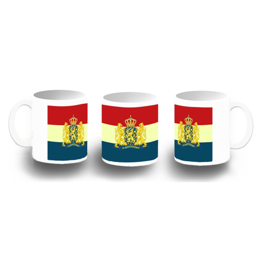 TAZA FOTOLUMINISCENTE bandera holanda paises bajos gobierno holandes BRILLA OSCURIDAD