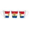 TAZA CÓNICA bandera holanda paises bajos gobierno holandes conica personalizada