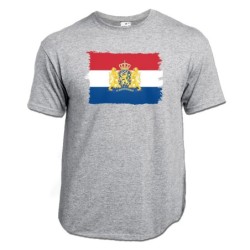 CAMISETA GRIS MEZCLA...