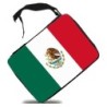 ESTUCHE bandera mejico pais gobierno mexico escolar case