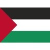 TAZA MÁGICA bandera palestina pais gobierno palestino personalizada