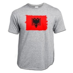 CAMISETA GRIS MEZCLA...