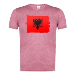 CAMISETA ROJA MEZCLA...