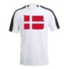 CAMISETA TÉCNICA FRANJA MANGAS NEGRA bandera dinamarca pais gobierno danés personalizada