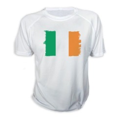 CAMISETA bandera irlanda...