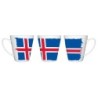 TAZA CÓNICA bandera islandia pais gobierno islandés conica personalizada