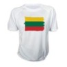 CAMISETA bandera lituania pais gobierno lituano personalizada