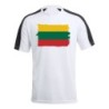 CAMISETA TÉCNICA FRANJA MANGAS NEGRA bandera lituania pais gobierno lituano personalizada