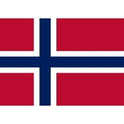 TAZA MÁGICA bandera noruega pais gobierno noruego personalizada