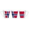 TAZA CÓNICA bandera noruega pais gobierno noruego conica personalizada