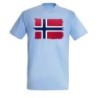 CAMISETA AZUL CIELO bandera noruega pais gobierno noruego moda verano personalizada