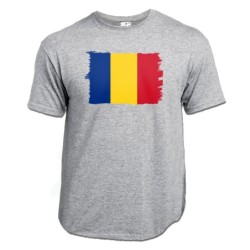 CAMISETA GRIS MEZCLA...