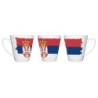 TAZA CÓNICA bandera serbia pais gobierno serbio conica personalizada