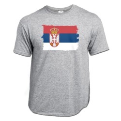 CAMISETA GRIS MEZCLA...